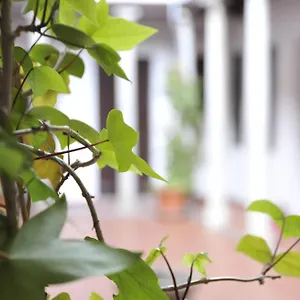 Adanar-las Columnas Apartment