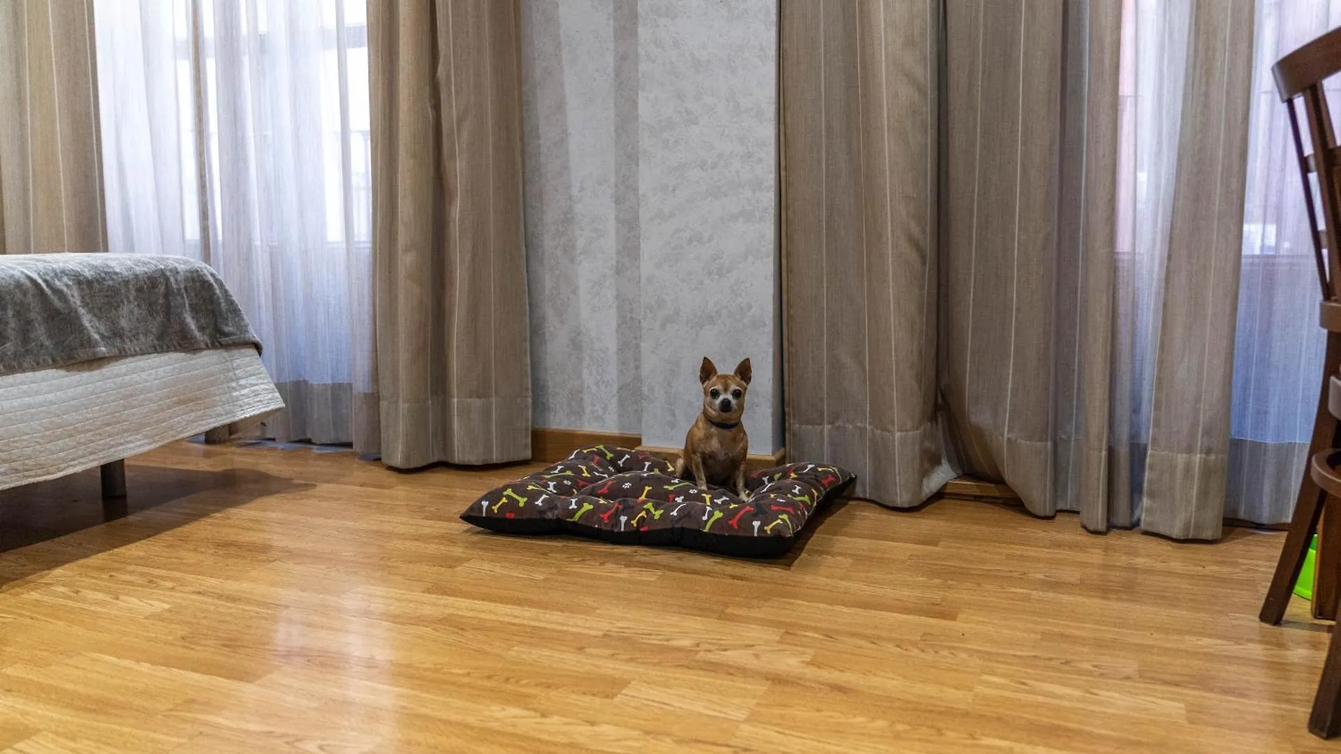 호텔 그라나다 센트로 2*,  스페인